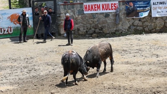 Ayder Yaylası’nda 30. Kültür, Sanat ve Doğa Festivali Coşkusu