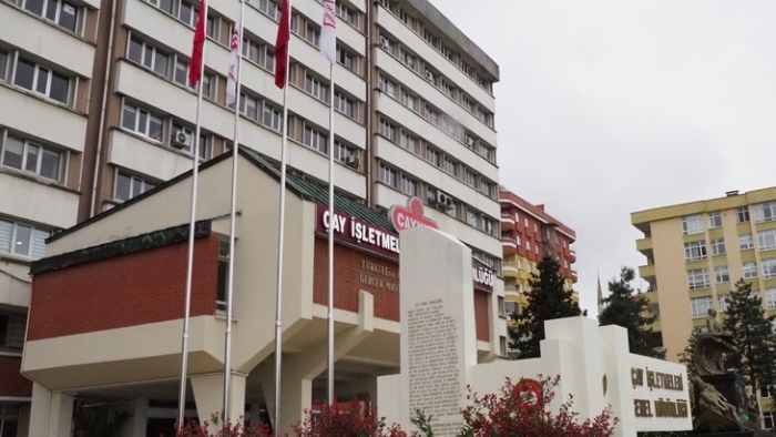 ÇAYKUR’dan İkinci Sürgün Çağrısı: Planlı Hasat, Bereketli Kazanç