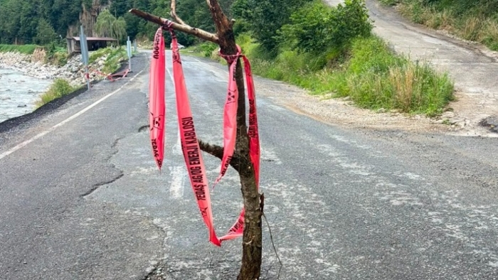 Rize-İkizdere Karayolunda Delik Meydana Gelince Köylüler Ağaç Dikerek Tedbir Aldı