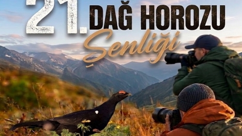21. Dağ Horozu Şenliği İçin Geri Sayım Başladı