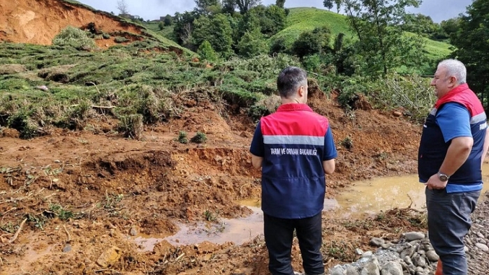 Rize’de Tarımsal Hasar Tespit Çalışmalarına 310 başvuru yapıldı